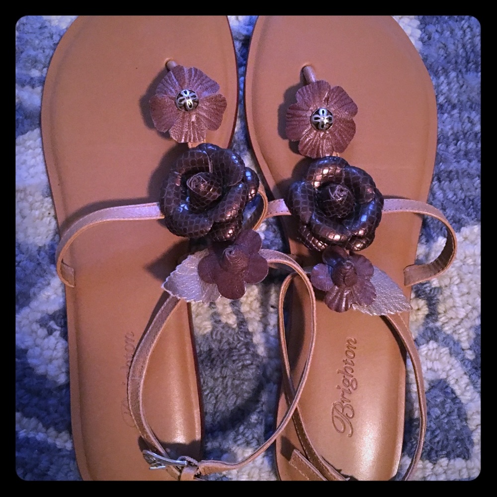 Brighton shoes